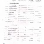 Бухгалтерская (финансовая) отчетность 2020 Ярославский ДК ВОС